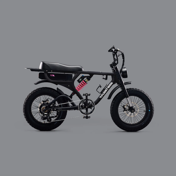 FLIGHT RISK Electric Bike – EV Speed