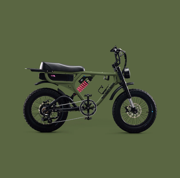 FLIGHT RISK Electric Bike – EV Speed