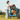 Pet Deluxe Bike Trailer